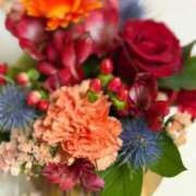 ヒメ日記 2025/11/06 13:03 投稿 望月れいか 宝石箱(すすきの)