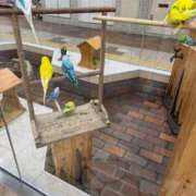 ヒメ日記 2025/12/05 11:33 投稿 望月れいか 宝石箱(すすきの)