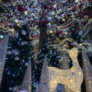 ヒメ日記 2025/12/09 23:48 投稿 望月れいか 宝石箱(すすきの)