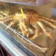 ヒメ日記 2025/12/23 17:12 投稿 望月れいか 宝石箱(すすきの)