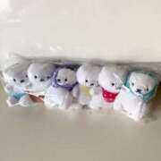 ヒメ日記 2025/12/31 18:18 投稿 望月れいか 宝石箱(すすきの)