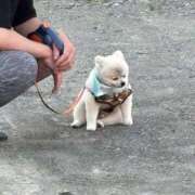 ヒメ日記 2026/01/11 12:19 投稿 望月れいか 宝石箱(すすきの)