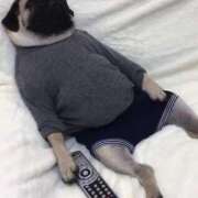 ヒメ日記 2026/01/15 10:12 投稿 望月れいか 宝石箱(すすきの)