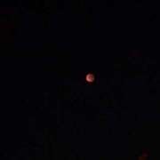 ヒメ日記 2026/01/28 18:19 投稿 望月れいか 宝石箱(すすきの)