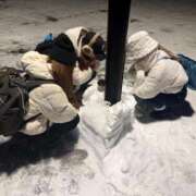 ヒメ日記 2026/01/29 22:33 投稿 望月れいか 宝石箱(すすきの)