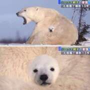 ヒメ日記 2026/02/15 12:20 投稿 望月れいか 宝石箱(すすきの)