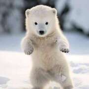 ヒメ日記 2026/02/26 05:12 投稿 望月れいか 宝石箱(すすきの)