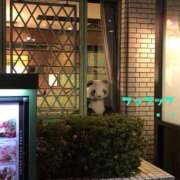 ヒメ日記 2025/01/09 11:03 投稿 HAZU-ハズ- 宝石箱(すすきの)