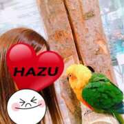 ヒメ日記 2025/01/10 16:48 投稿 HAZU-ハズ- 宝石箱(すすきの)