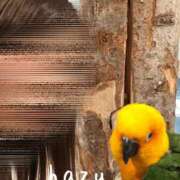 ヒメ日記 2025/05/07 12:33 投稿 HAZU-ハズ- 宝石箱(すすきの)