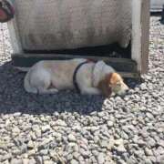 ヒメ日記 2026/01/30 22:03 投稿 HAZU-ハズ- 宝石箱(すすきの)