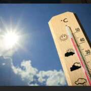 ヒメ日記 2025/07/24 12:28 投稿 らら ラブハーレム(水戸)