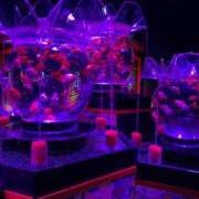 ヒメ日記 2025/08/06 11:58 投稿 らら ラブハーレム(水戸)