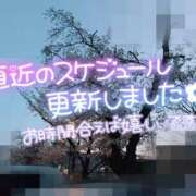 ヒメ日記 2025/04/07 06:45 投稿 らら 諭吉専科