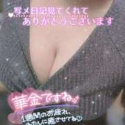 ヒメ日記 2025/04/11 17:01 投稿 らら 諭吉専科