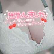 ヒメ日記 2025/04/12 17:03 投稿 らら 諭吉専科