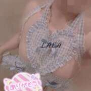 ヒメ日記 2025/05/29 21:37 投稿 らら 諭吉専科