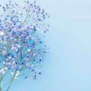 ヒメ日記 2025/06/03 15:48 投稿 らら 諭吉専科