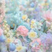 ヒメ日記 2025/06/23 04:15 投稿 らら 諭吉専科