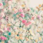 ヒメ日記 2025/09/23 06:30 投稿 らら 諭吉専科