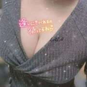 ヒメ日記 2025/10/07 07:15 投稿 らら 諭吉専科