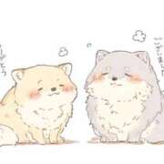 ヒメ日記 2025/12/05 01:57 投稿 らら 諭吉専科