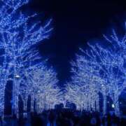 ヒメ日記 2025/12/26 13:03 投稿 らら 諭吉専科