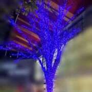 ヒメ日記 2026/01/19 17:18 投稿 らら 諭吉専科