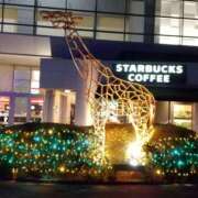 ヒメ日記 2026/01/28 20:01 投稿 らら 諭吉専科