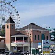 ヒメ日記 2025/04/12 14:54 投稿 川上さつき 五十路マダム 浜松店(カサブランカグループ)