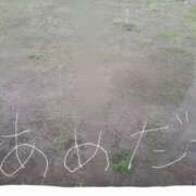 ヒメ日記 2025/04/15 15:28 投稿 川上さつき 五十路マダム 浜松店(カサブランカグループ)