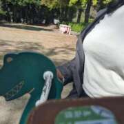 ヒメ日記 2025/04/16 21:22 投稿 川上さつき 五十路マダム 浜松店(カサブランカグループ)