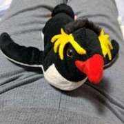 ヒメ日記 2025/06/02 22:16 投稿 川上さつき 五十路マダム 浜松店(カサブランカグループ)