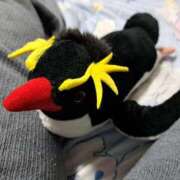 ヒメ日記 2025/06/03 22:18 投稿 川上さつき 五十路マダム 浜松店(カサブランカグループ)