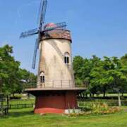 ヒメ日記 2025/07/08 17:30 投稿 川上さつき 五十路マダム 浜松店(カサブランカグループ)