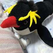 ヒメ日記 2025/08/26 22:32 投稿 川上さつき 五十路マダム 浜松店(カサブランカグループ)