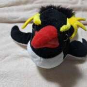 ヒメ日記 2025/11/09 22:12 投稿 川上さつき 五十路マダム 浜松店(カサブランカグループ)