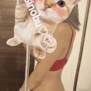 ヒメ日記 2025/05/22 20:26 投稿 しのぶ Every-エヴリィ-