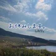 ヒメ日記 2024/12/13 06:27 投稿 しおり 海上空天 SHANGHAI HEAVEN