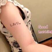 ヒメ日記 2024/12/14 07:38 投稿 しおり 海上空天 SHANGHAI HEAVEN