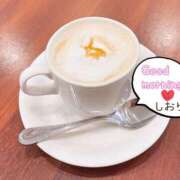 ヒメ日記 2025/02/03 09:00 投稿 しおり 海上空天 SHANGHAI HEAVEN