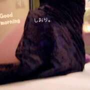 ヒメ日記 2025/03/19 07:28 投稿 しおり 海上空天 SHANGHAI HEAVEN