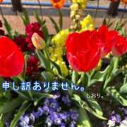 ヒメ日記 2025/04/17 18:05 投稿 しおり 海上空天 SHANGHAI HEAVEN