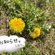 ヒメ日記 2025/04/29 18:11 投稿 しおり 海上空天 SHANGHAI HEAVEN