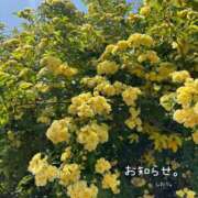 ヒメ日記 2025/05/16 17:01 投稿 しおり 海上空天 SHANGHAI HEAVEN