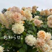 ヒメ日記 2025/06/09 17:54 投稿 しおり 海上空天 SHANGHAI HEAVEN