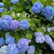 ヒメ日記 2025/06/18 14:00 投稿 しおり 海上空天 SHANGHAI HEAVEN