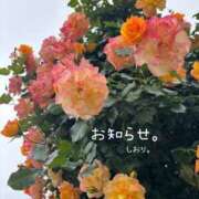 ヒメ日記 2025/07/08 17:30 投稿 しおり 海上空天 SHANGHAI HEAVEN