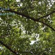 ヒメ日記 2025/07/11 08:09 投稿 しおり 海上空天 SHANGHAI HEAVEN