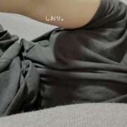 ヒメ日記 2025/07/14 13:21 投稿 しおり 海上空天 SHANGHAI HEAVEN